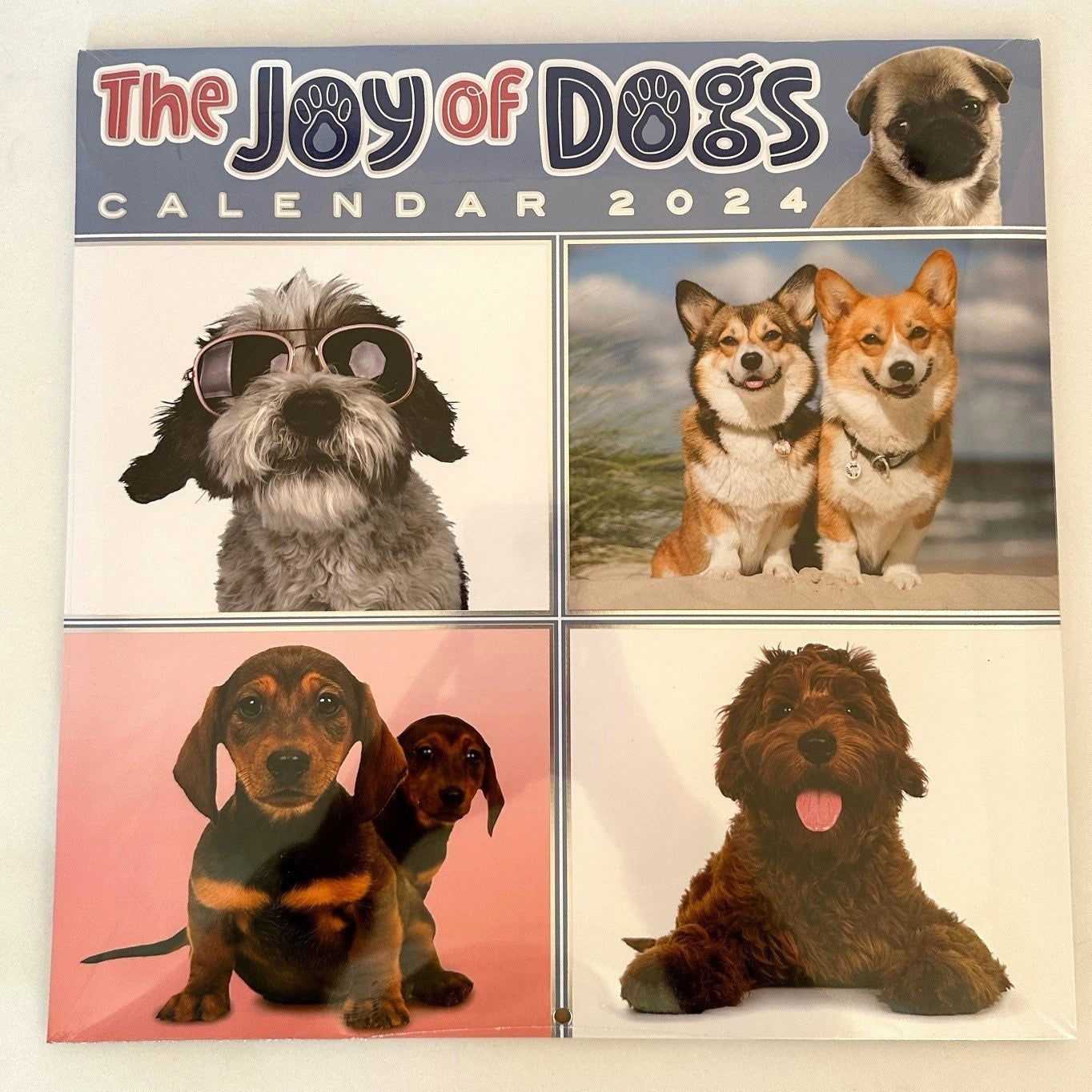 2024 Calendar - The Joy of Dogs 30% OFF