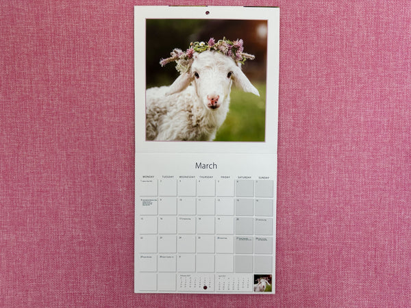 2027 MINI Calendar - Adorable Animals