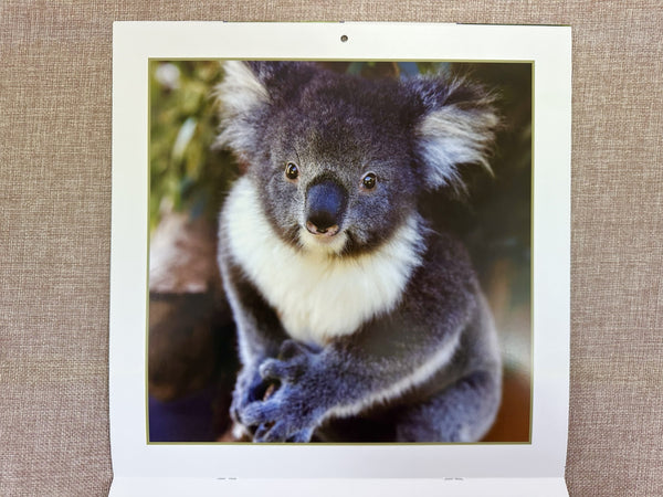 2027 Calendar - Adorbale Animals
