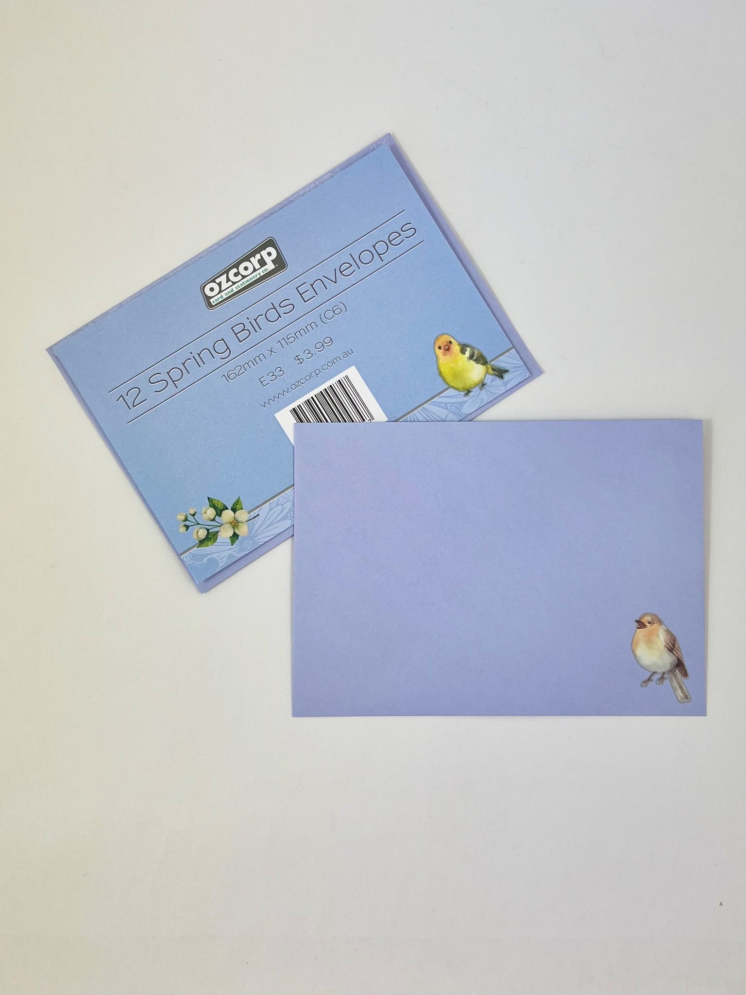 Envelope Set of 12 - Spring Birds