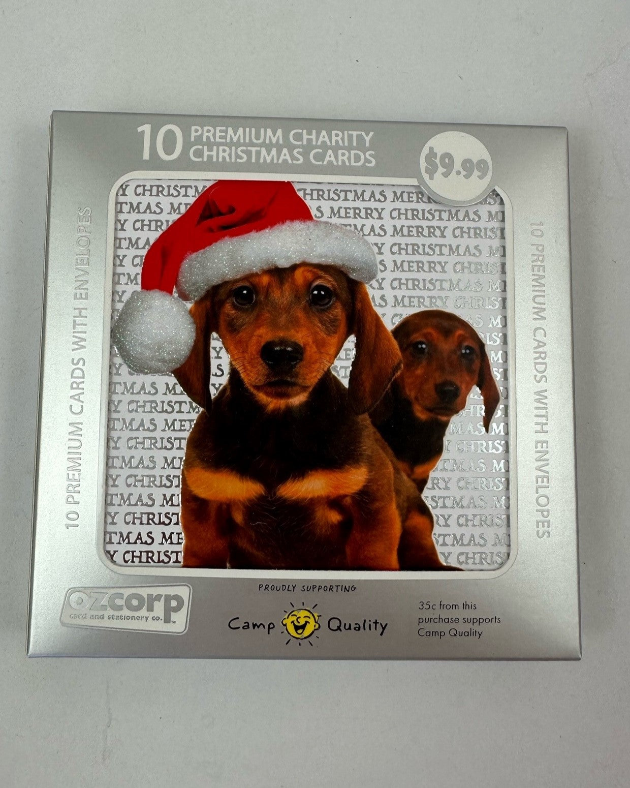 Christmas Card Pack of 10 - Dachshund Pair