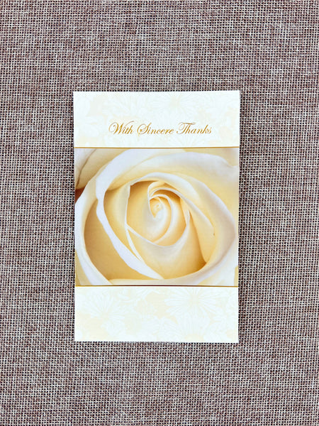 Sympathy Thank You Card Set - Cream Rose