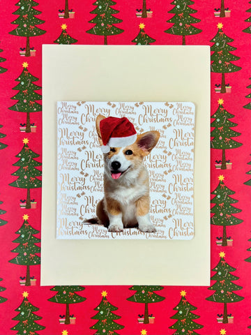 Christmas Card Square Pack - Corgi