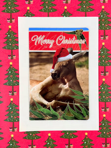 Christmas Card Pack - Kangaroo/Koala