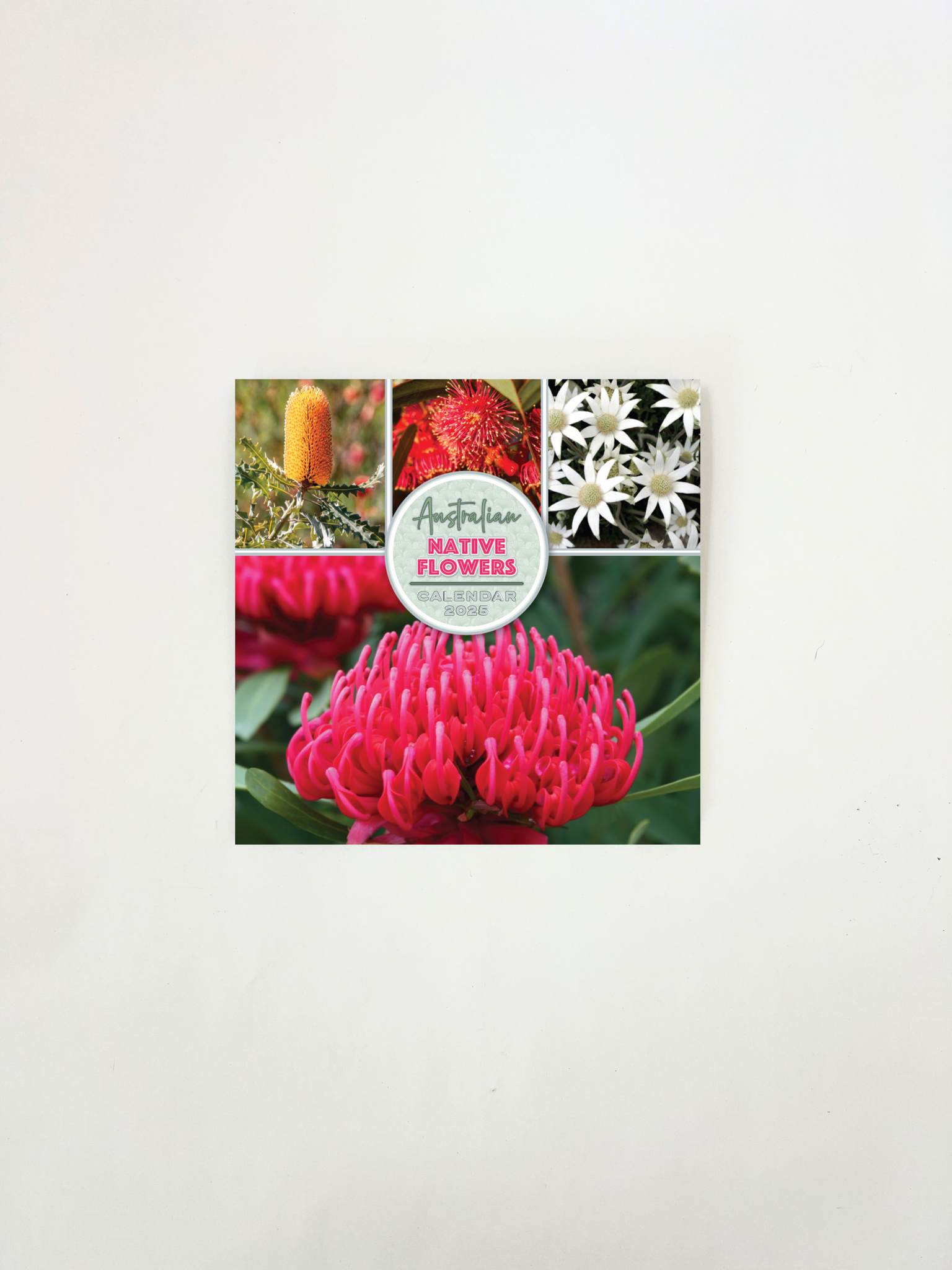 2025 MINI Calendar - Aus Native Flowers