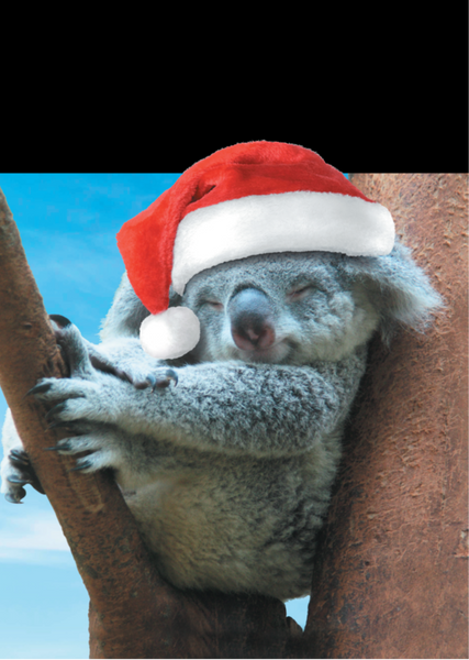 Australian Christmas Card Value Set