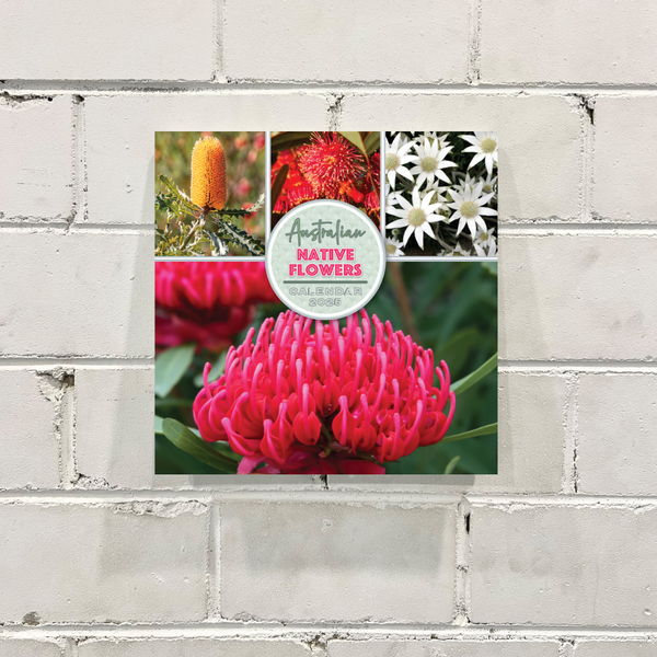 2025 MINI Calendar - Aus Native Flowers