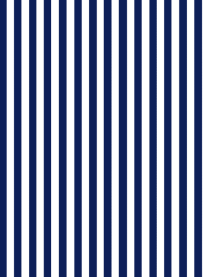 Gift Wrap - Navy Stripe