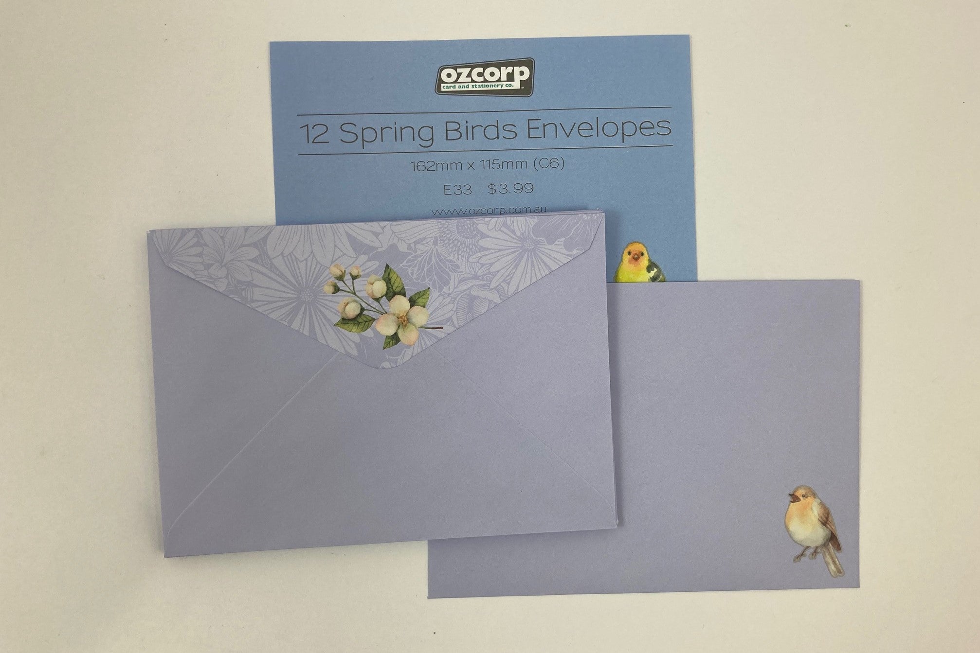 Envelope Set of 12 - Spring Birds