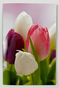 Modern Living Card - Tulips