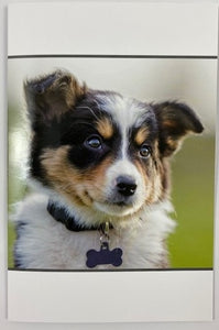 Still Life Card - Pup